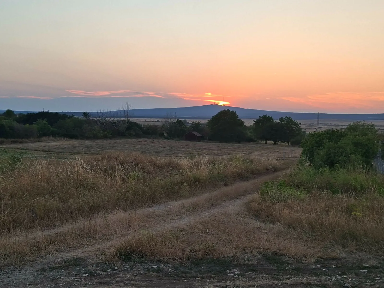 A hőség illata
